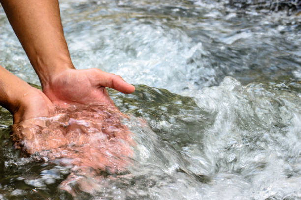 High Angle View Of Hands In Water